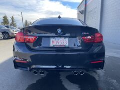 M4 Individual For Sale 6