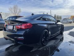 M4 Individual For Sale 5